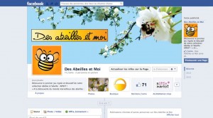 https://www.facebook.com/desabeillesetmoi?ref=hl
